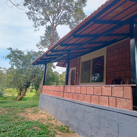 Nature Spot Cottages Coorg Kurchi Exteriér fotografie