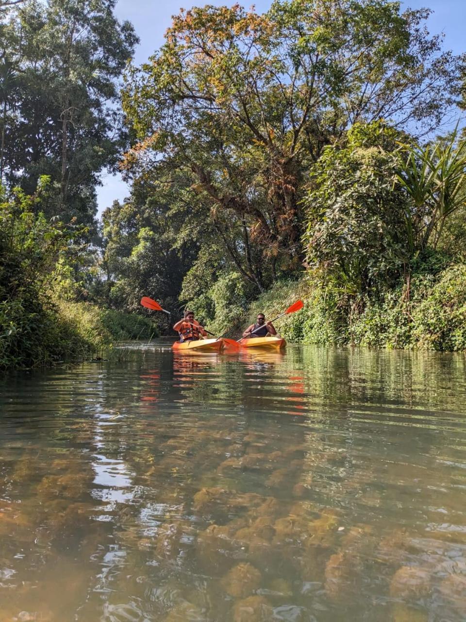 Nature Spot Cottages Coorg Kurchi Exteriér fotografie